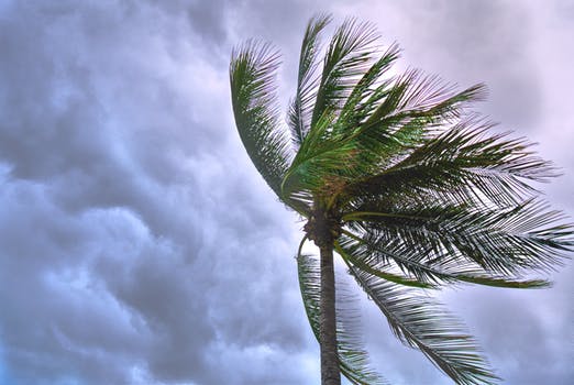 台風
