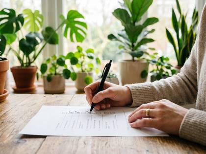 窓辺の観葉植物を背景に、手が書類にチェックを入れています。