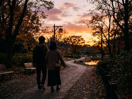 秋の夕暮れ時、公園の小道を歩くカップルの後ろ姿。
