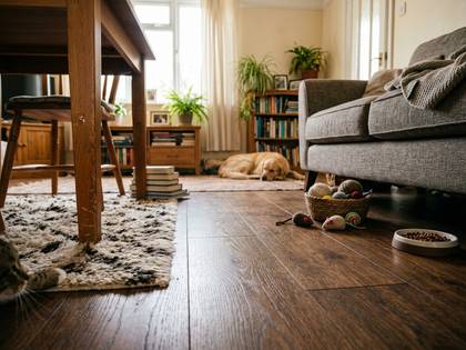 手前に猫、奥に犬がくつろぐリビング。床におもちゃと餌皿。