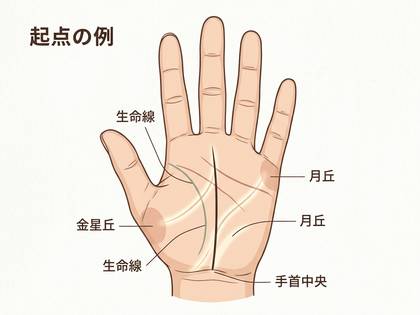 手相の生命線、金星丘、月丘などの線と丘を解説する図。